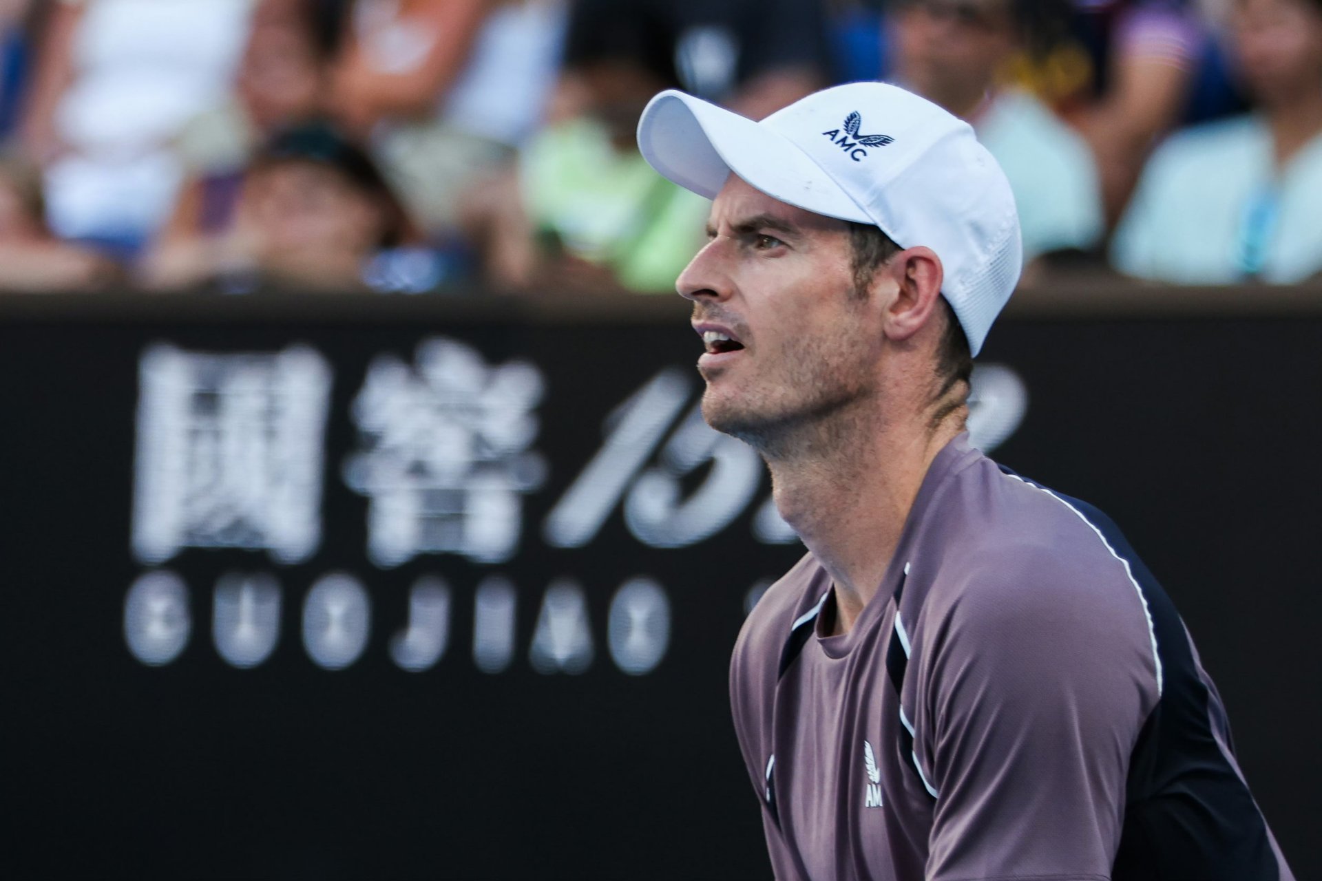 澳网翻盘年终总决赛，穆雷统治全场