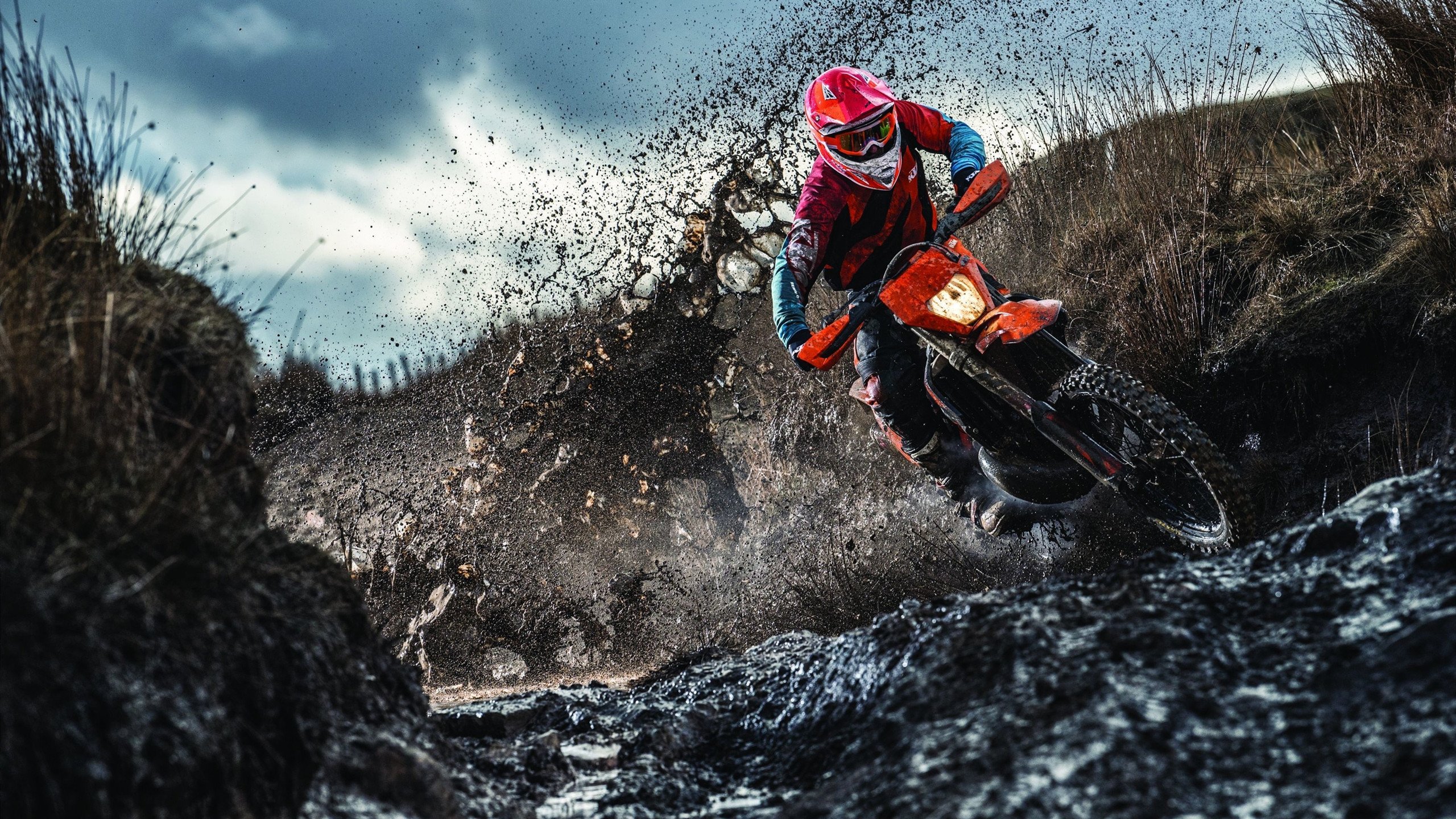 德里赫特关键节点连续得分,威尔士翻盘丹麦,绿茵场上的命运交响曲